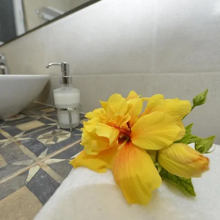 Dom wakacyjny Odysseus