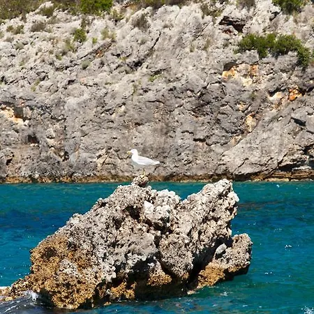 Odysseus Dom wakacyjny