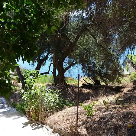 Vakantiehuis Odysseus