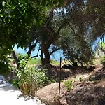 Nyaraló Odysseus